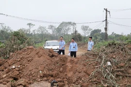 Chủ tịch Hà Nội chỉ đạo xử lý nghiêm vi phạm phòng cháy chữa cháy, đê điều, thủy lợi