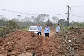 Chủ tịch Hà Nội chỉ đạo xử lý nghiêm vi phạm phòng cháy chữa cháy, đê điều, thủy lợi