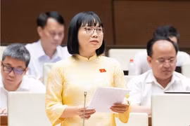 Luật sư công vừa là công chức, viên chức, vừa hành nghề luật sư, vậy xử lý xung đột thế nào?