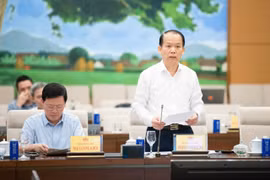 Bổ sung nhiều chế tài đối với người tham gia đấu giá tài sản để tránh bỏ cọc, “cò mồi” trục lợi