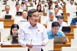 Người đấu tranh chống tham nhũng, tiêu cực sẽ được bồi thường nếu Nhà nước không áp dụng biện pháp bảo vệ