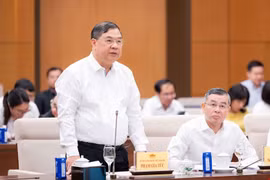 Đề xuất nhiều cơ chế, chính sách đặc thù để xây dựng khu đô thị lấn biển tại Đà Nẵng