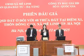 Đề xuất tăng mức đặt cọc đấu giá đất thấp nhất là 20%