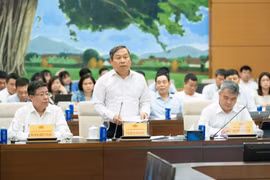 Luật Thủ đô (sửa đổi): Rà soát kỹ các quy định về tăng thẩm quyền của Chủ tịch UBND các cấp