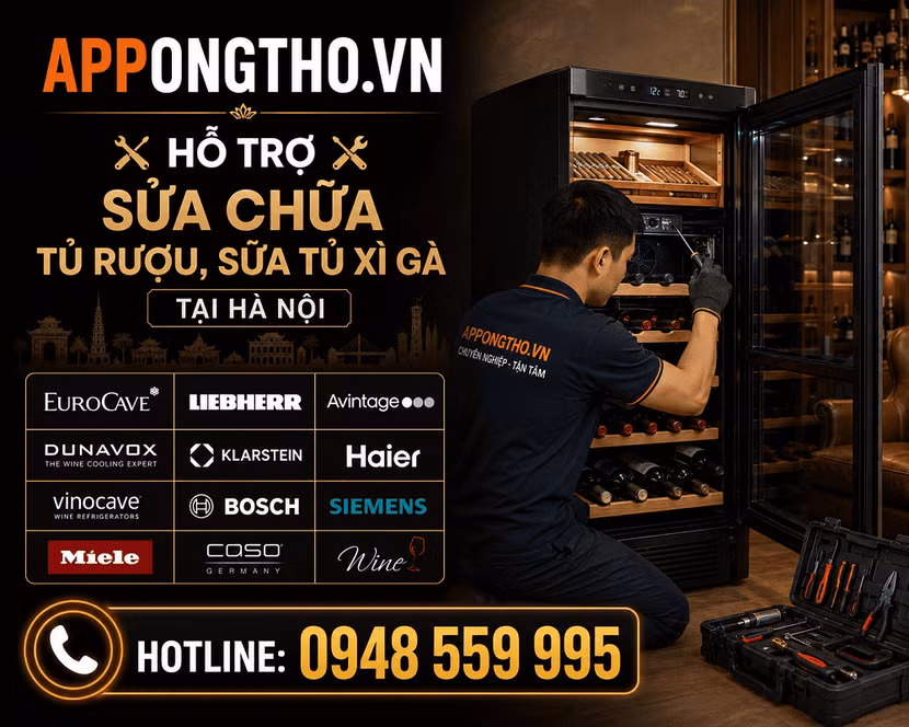 16 Địa chỉ sửa tủ rượu - sửa tủ xì gà (Cigar) uy tín tại nhà Hà Nội ảnh 1