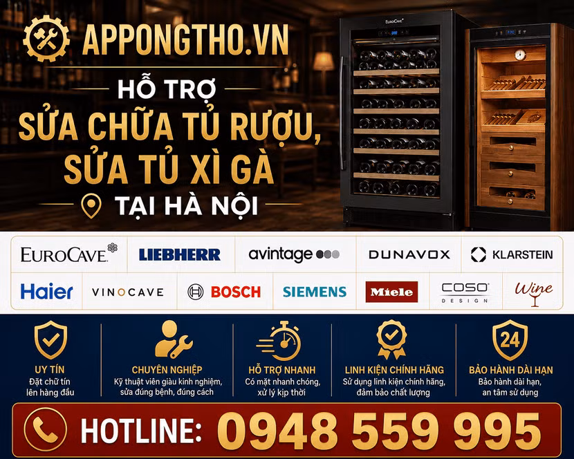 16 Địa chỉ sửa tủ rượu - sửa tủ xì gà (Cigar) uy tín tại nhà Hà Nội ảnh 4