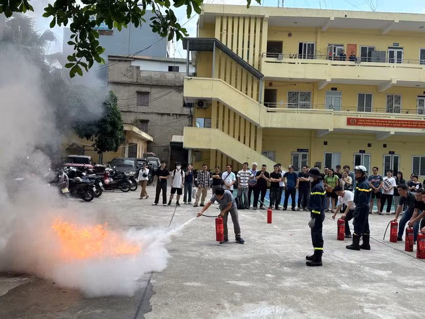p4.jpg