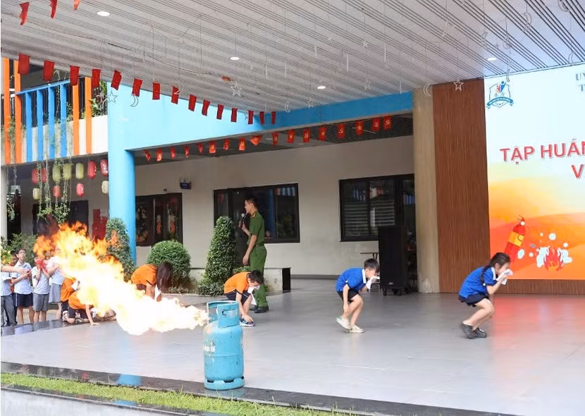 p2.jpg