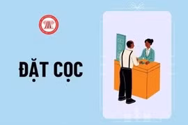 Gỡ “nút thắt” cho hợp tác xã vận tải và tài xế công nghệ