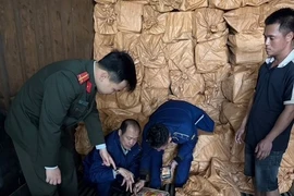 Chặn 3 xe container chứa hơn 12 tấn trứng non, sụn gà, mỡ...không rõ nguồn gốc