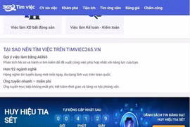 Timviec365.vn và trải nghiệm tìm việc trên nền tảng công nghệ số