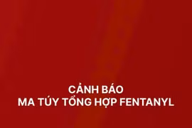 Ma túy tổng hợp Fentanyl gây tình trạng nghiện nặng và tử vong hàng loạt 