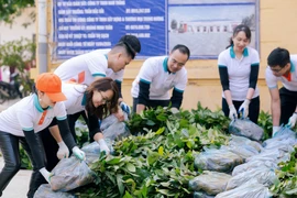 Tết An Bình 2026 tiếp nối hành trình Xanh An Bình – Xanh Việt Nam tại Nghệ An 