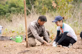 ABBANK trao tặng 100.000 cây quế cho người dân xã Thông Thụ, tỉnh Nghệ An