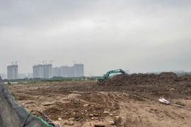 Xử phạt 80 triệu đồng đối với cá nhân có hành vi hủy hoại đất