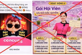 Người phụ nữ ở Hà Nội 'bay' gần 1 tỷ đồng khi bị lừa tham gia nhóm 'Đồng hành cùng Con Cưng'