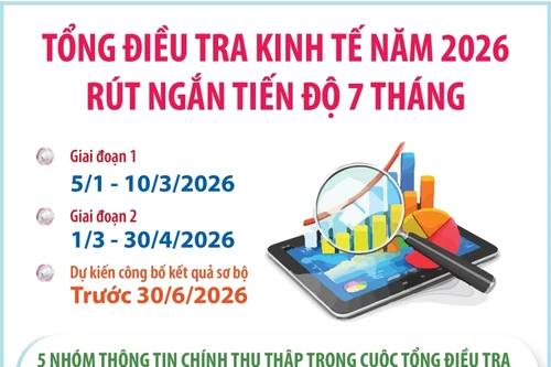 Kế hoạch Tổng điều tra kinh tế năm 2026 rút ngắn tiến độ 7 tháng