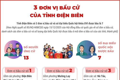 3 đơn vị bầu cử của tỉnh Điện Biên