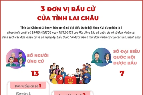 3 đơn vị bầu cử của tỉnh Lai Châu