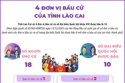 4 đơn vị bầu cử của tỉnh Lào Cai