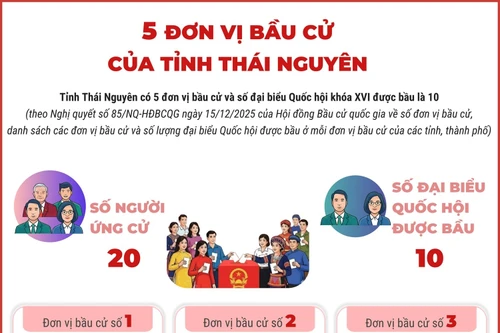 5 đơn vị bầu cử của tỉnh Thái Nguyên