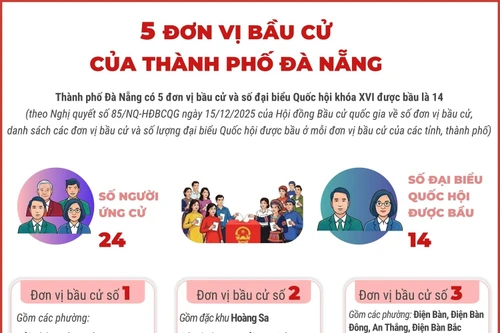 5 đơn vị bầu cử của thành phố Đà Nẵng