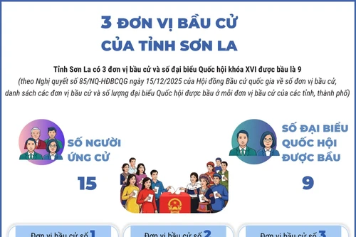 3 đơn vị bầu cử của tỉnh Sơn La