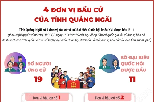 4 đơn vị bầu cử của tỉnh Quảng Ngãi