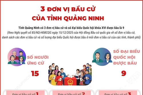 3 đơn vị bầu cử của tỉnh Quảng Ninh