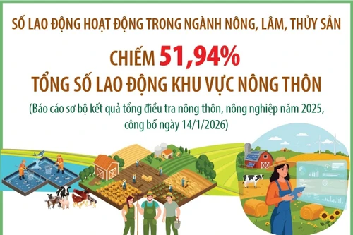 Lao động hoạt động trong ngành nông, lâm, thủy sản chiếm 51,94% tổng số lao động khu vực nông thôn
