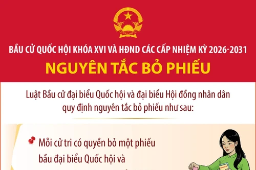 Bầu cử Quốc hội và HĐND: Nguyên tắc bỏ phiếu