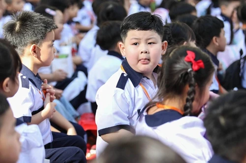 Học tiếng Anh liên kết: Vì sao trường thu 150.000 đồng, trường thu 2 triệu?