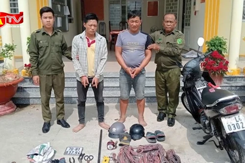 Ổ nhóm chuyên cắt trộm dây điện bán lấy tiền mua ma túy