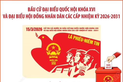 Bầu cử Quốc hội và HĐND các cấp: Thành lập các tổ chức phụ trách bầu cử theo đúng quy định