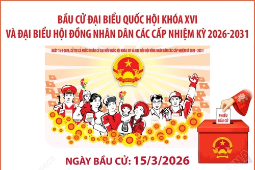 Bầu cử Quốc hội và HĐND các cấp: Cả nước có gần 79 triệu cử tri sẽ tham gia bỏ phiếu