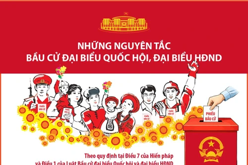 Những nguyên tắc bầu cử đại biểu Quốc hội, đại biểu HĐND (Phần 2 và hết)