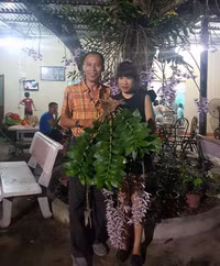 Độc đáo vườn lan huyền thoại có một không hai ở Tuyên Quang