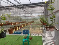 Cận mặt kẻ trộm lan táo tợn tại Hòa Bình lấy sạch toàn bộ lan đột biến trị giá 2,9 tỷ đồng