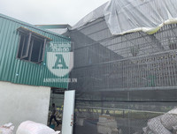 Cận mặt kẻ trộm lan táo tợn tại Hòa Bình lấy sạch toàn bộ lan đột biến trị giá 2,9 tỷ đồng