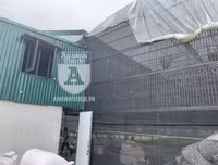 Cận mặt kẻ trộm lan táo tợn tại Hòa Bình lấy sạch toàn bộ lan đột biến trị giá 2,9 tỷ đồng