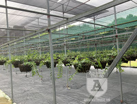 Cận mặt kẻ trộm lan táo tợn tại Hòa Bình lấy sạch toàn bộ lan đột biến trị giá 2,9 tỷ đồng