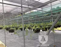 Cận mặt kẻ trộm lan táo tợn tại Hòa Bình lấy sạch toàn bộ lan đột biến trị giá 2,9 tỷ đồng