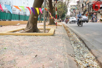 Hà Nội đẹp dịu dàng trong sắc trắng hoa sưa