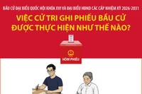 Bầu cử Quốc hội và HĐND: Việc cử tri ghi phiếu bầu cử được thực hiện như thế nào? (Phần 2 và hết)