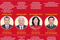 Các đồng chí lãnh đạo cấp cao ứng cử đại biểu Quốc hội khóa XVI tại nhiều địa phương trên cả nước