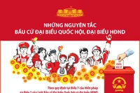 Những nguyên tắc bầu cử đại biểu Quốc hội, đại biểu HĐND (Phần 1)