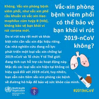 Uống rượu bia, ăn tỏi có thể giúp phòng virus corona hay không?