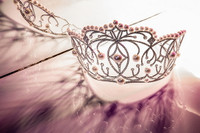 Cận cảnh chiếc vương miện 