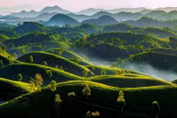 [ẢNH] Việt Nam đẹp ngỡ ngàng từ góc nhìn...trên mây