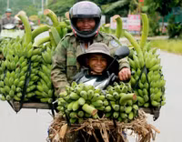 [ẢNH] Những khoảnh khắc yêu thương của gia đình Việt Nam